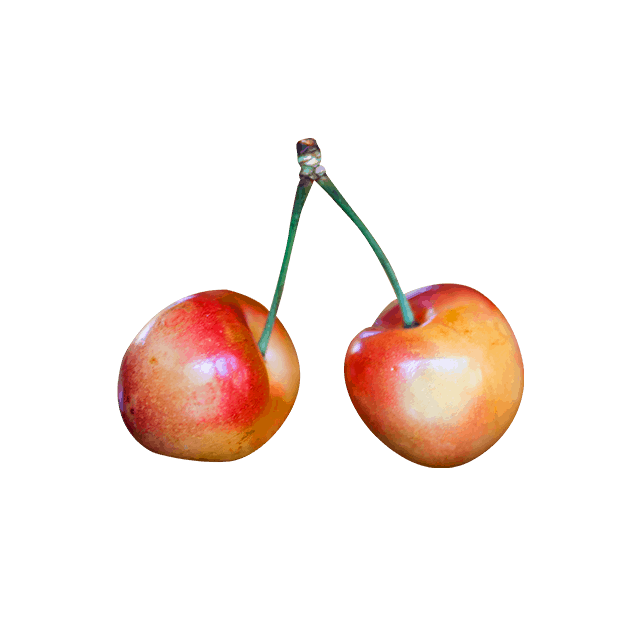OLT Juice - Imagen 2
